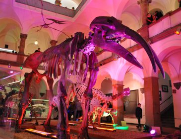 Die Lange Nacht der Münchner Museen