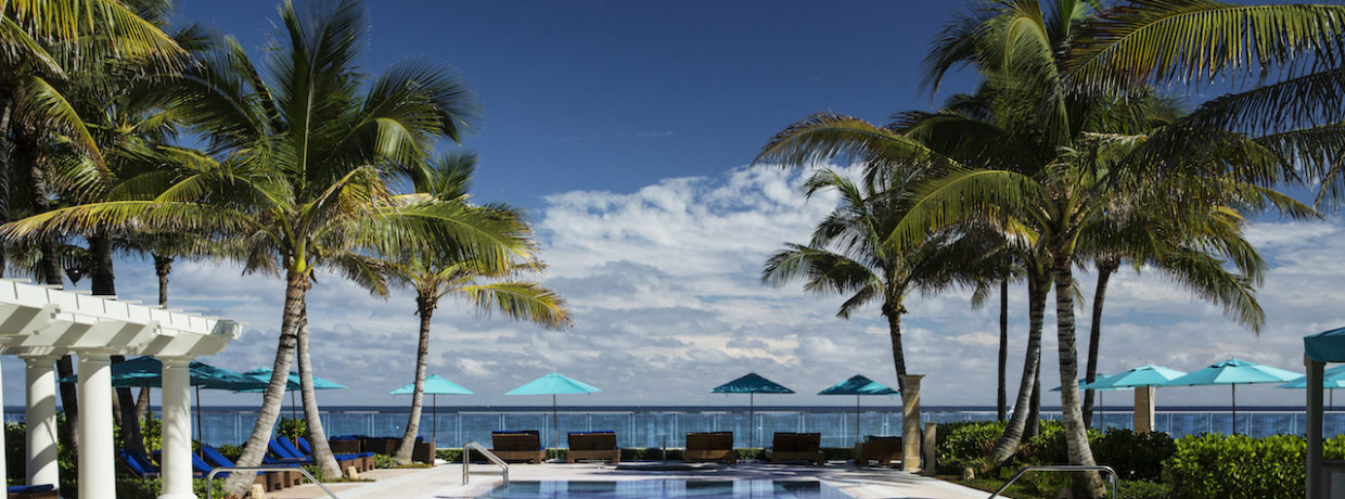 Schwimmen mit Meeresschildkröten – ein Traum wird wahr in Palm Beach, Florida