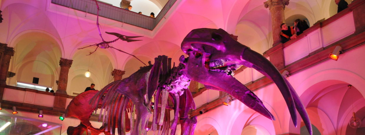 Die 20. Lange Nacht der Münchner Museen am Samstag, 20. Oktober 2018