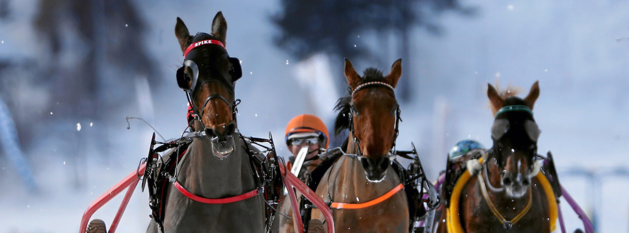 Saisonauftakt in St. Moritz mit Pauken und Trompeten am White Turf 2019