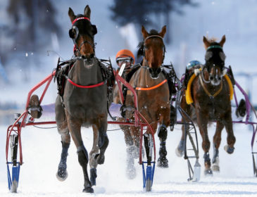 Saisonauftakt in St. Moritz mit Pauken und Trompeten am White Turf 2019