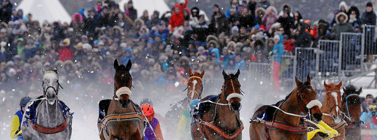 Apollo San überrascht als neuer Trab-Schneekönig beim White Turf am 10. Februar 2019 die gesamte Konkurrenz