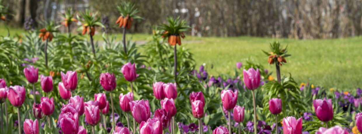 Eröffnung der Bundesgartenschau Heilbronn 2019