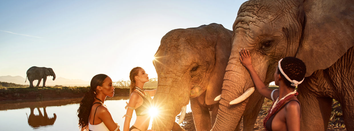 Die Kalenderblätter vom Lambertz Fine Art-Kalender 2020 „African Moods“