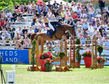Dallmayr neuer Namensgeber bei Pferd International München