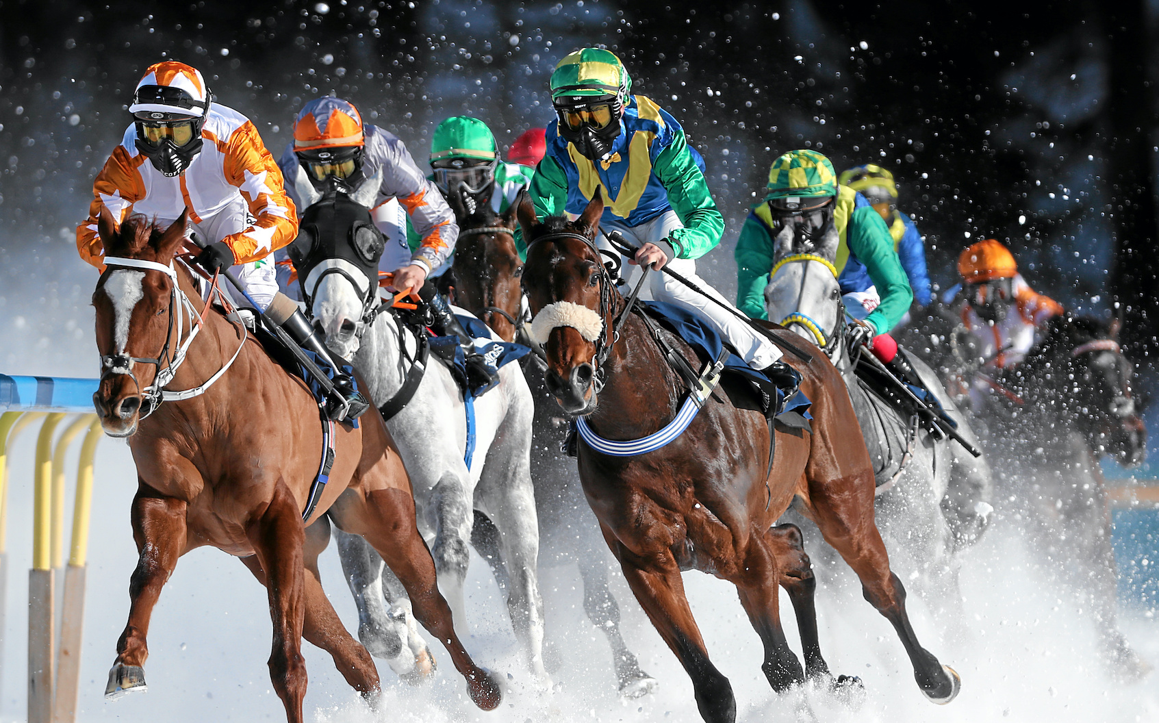 White Turf St. Moritz 2022 – 114 Jahre Internationale Pferderennen auf Schnee