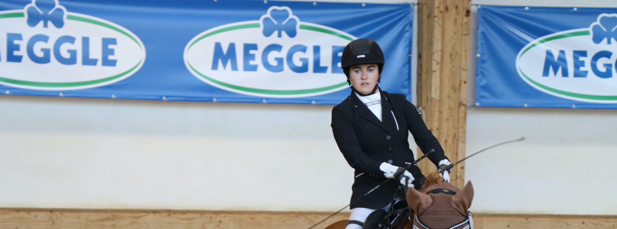 Polo, Paras, Promi-Serien: Bei Pferd International München ist viel los