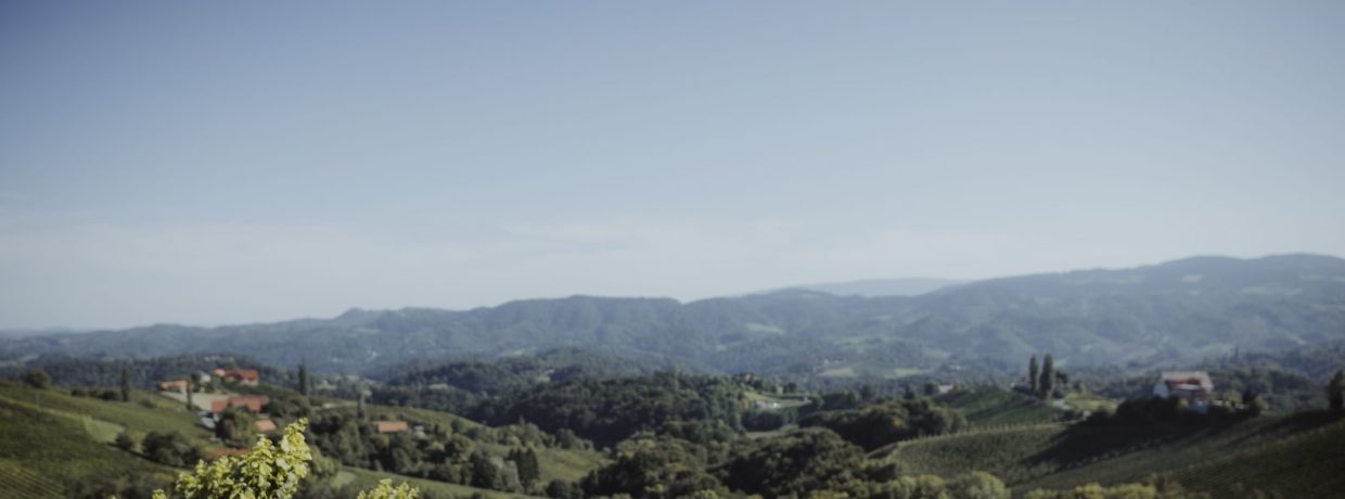 Das wird Fräulein Leni – in den Südsteirischen Weinbergen