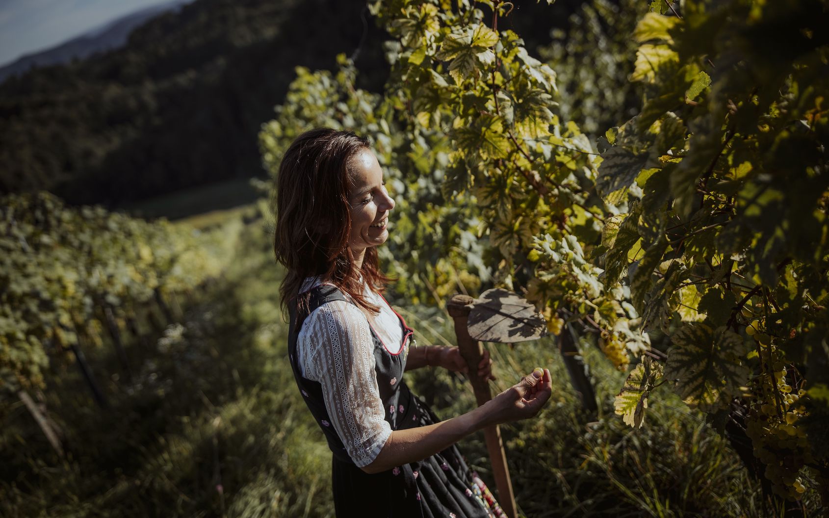 Das wird Fräulein Leni – in den Südsteirischen Weinbergen