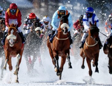 White Turf St. Moritz 2023 – 116 Jahre Internationale Pferderennen auf Schnee