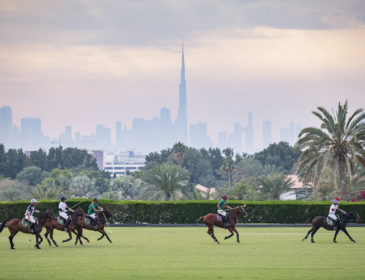Polo-Freundschaftsspiel zwischen den Vereinigten Arabischen Emiraten und der Schweiz