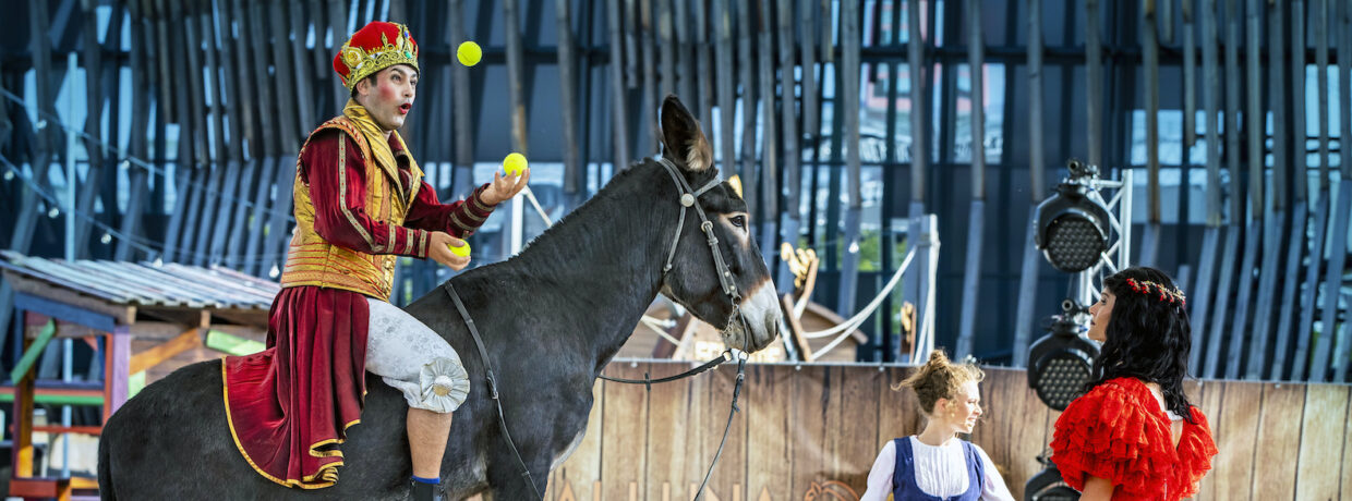 „CAVALLUNA Kids – Eine Show steht Kopf!“ in München