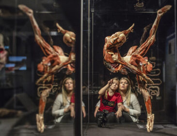 KÖRPERWELTEN – Ausstellung in Stuttgart – „Am Puls der Zeit“