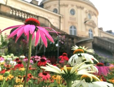HOME & GARDEN auf Schloss Solitude Stuttgart: Eine Welt der Inspiration